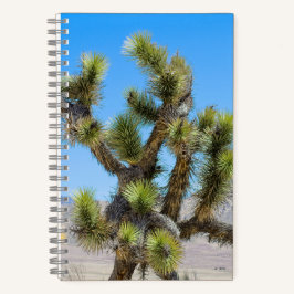 Joshua Tree in Kalifornien Notizblock