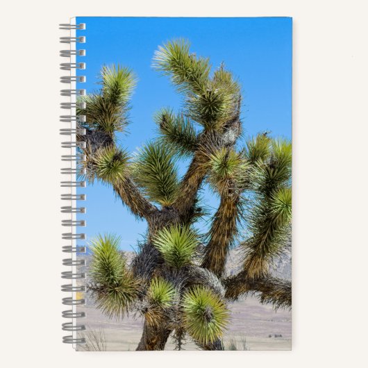 Joshua Tree in Kalifornien Notizblock (Vorderseite)