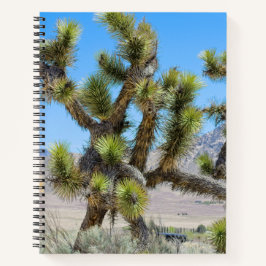Joshua Tree in Kalifornien Notizblock