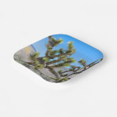 Joshua Tree in Kalifornien Pappteller (Gewinkelt)