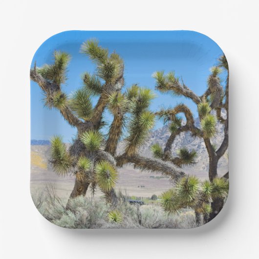 Joshua Tree in Kalifornien Pappteller (Vorderseite)