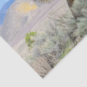 Joshua Tree in Kalifornien Seidenpapier (Detail)