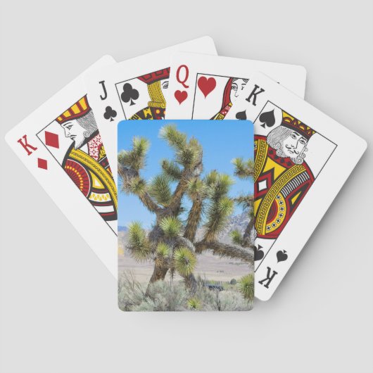 Joshua Tree in Kalifornien Spielkarten (Rückseite)