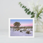 "Joshua Tree in Snow" Postkarte (Stehend Vorderseite)