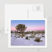 "Joshua Tree in Snow" Postkarte (Vorne/Hinten)