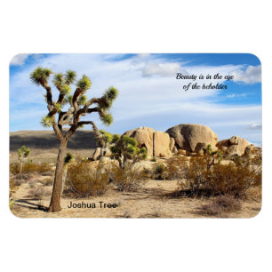 Joshua Tree in the Mojave Desert 4"x6 Magnet