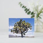 Joshua Tree - Joshua Tree National Park Postkarte (Stehend Vorderseite)