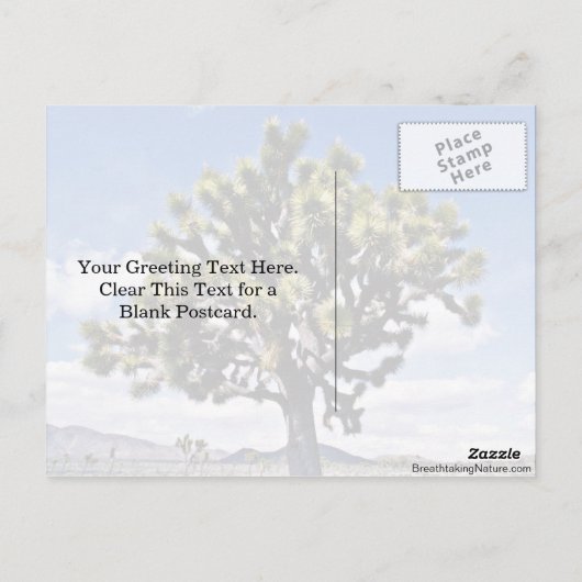 Joshua Tree - Joshua Tree National Park Postkarte (Rückseite)