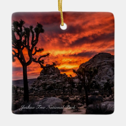 Joshua Tree Keramikornament (Vorderseite)