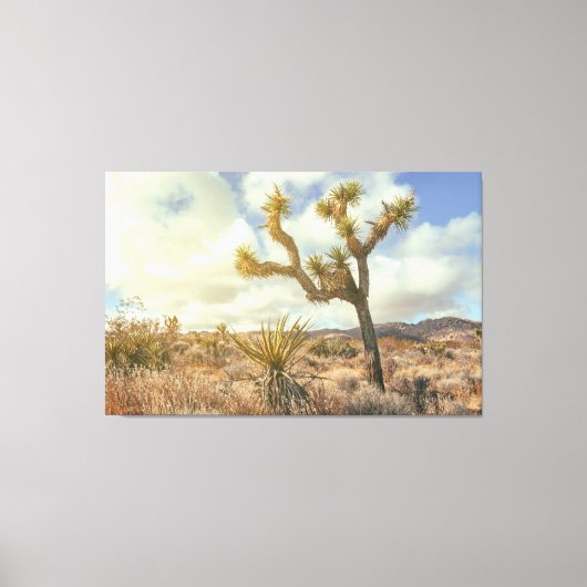 Joshua Tree Leinwanddruck (Vorderseite)
