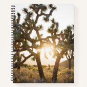 Joshua Tree - Limited Edition Notizblock (Vorderseite)