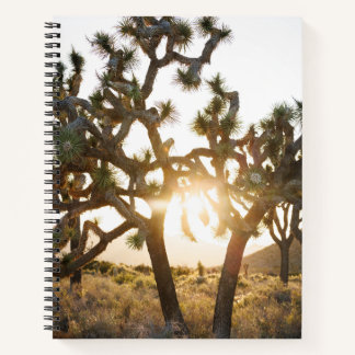 Joshua Tree - Limited Edition Notizblock