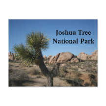 Joshua Tree National Park California Travel USA