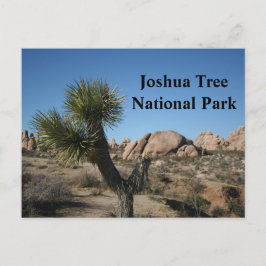 Joshua Tree National Park California Travel USA Postkarte