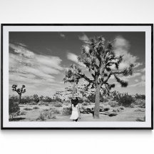 Joshua Tree National Park Fotografy Poster