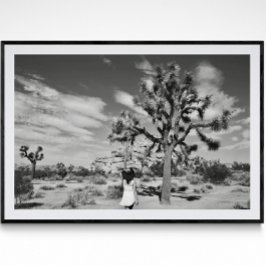 Joshua Tree National Park Fotografy Poster