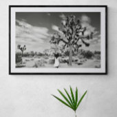 Joshua Tree National Park Fotografy Poster