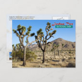 Joshua Tree National Park, Kalifornien Postkarte (Vorne/Hinten)