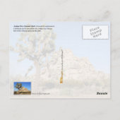 Joshua Tree National Park, Kalifornien Postkarte (Rückseite)