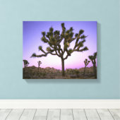 JOSHUA TREE NATIONAL PARK, KALIFORNIEN. USA. LEINWANDDRUCK (Insitu (Holzboden))