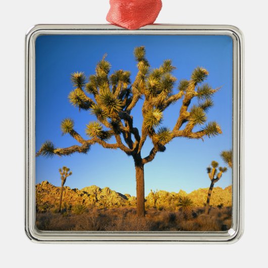 Joshua Tree National Park, Kalifornien. USA. Ornament Aus Metall (Vorne)