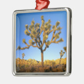 Joshua Tree National Park, Kalifornien. USA. Ornament Aus Metall (Links)