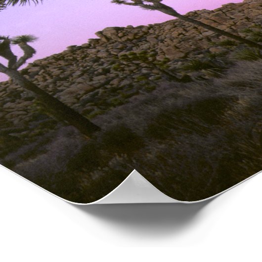 JOSHUA TREE NATIONAL PARK, KALIFORNIEN. USA. POSTER (Ecke)