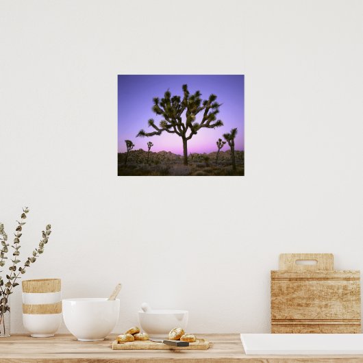 JOSHUA TREE NATIONAL PARK, KALIFORNIEN. USA. POSTER (Küche)