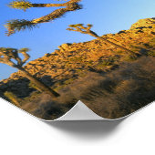 Joshua Tree National Park, Kalifornien. USA. Poster (Ecke)