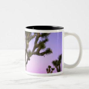 JOSHUA TREE NATIONAL PARK, KALIFORNIEN. USA. ZWEIFARBIGE TASSE