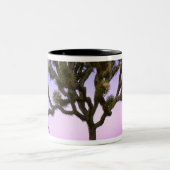 JOSHUA TREE NATIONAL PARK, KALIFORNIEN. USA. ZWEIFARBIGE TASSE (Mittel)