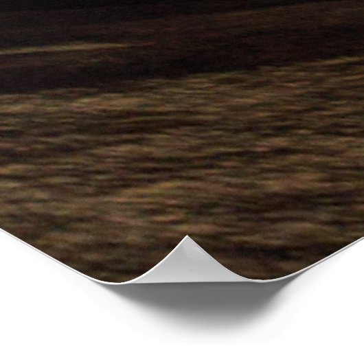 Joshua Tree National Park Night Sky Poster (Ecke)