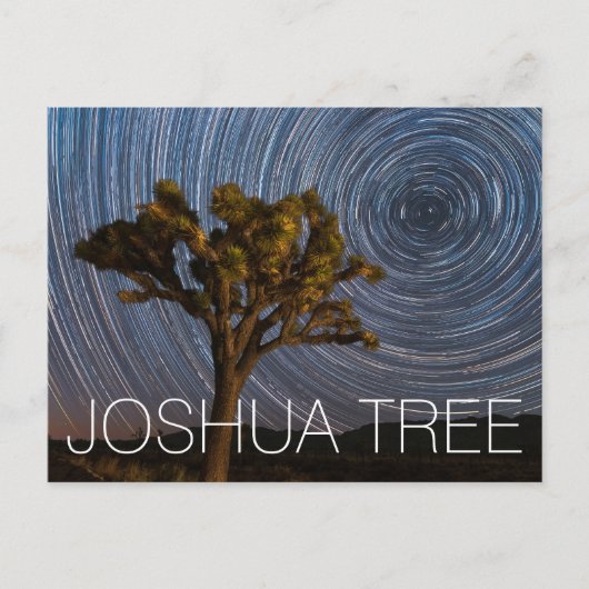 Joshua Tree National Park Night Sky Postkarte (Vorderseite)
