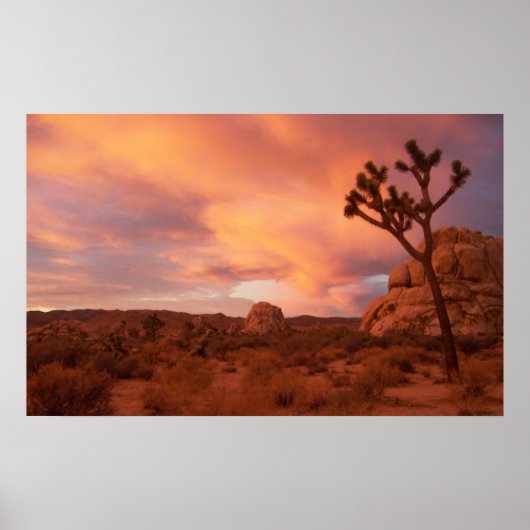Joshua Tree National Park - Sunrise Poster (Vorne)
