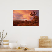 Joshua Tree National Park - Sunrise Poster (Küche)