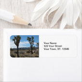 Joshua Tree Nationalpark (Insitu)