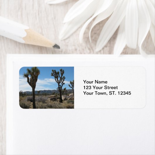 Joshua Tree Nationalpark (Insitu)