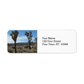 Joshua Tree Nationalpark (Vorne)