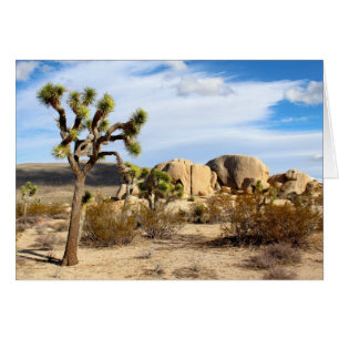 Joshua Tree Nationalpark
