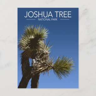Joshua Tree Nationalpark Branches Styliste Travel Postkarte