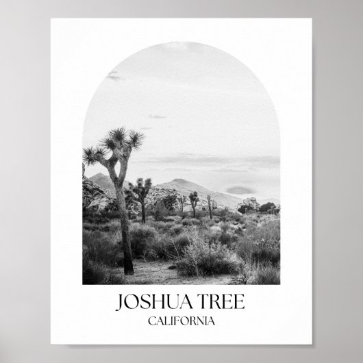 Joshua Tree Nationalpark California Arch Foto Pr Poster (Vorne)