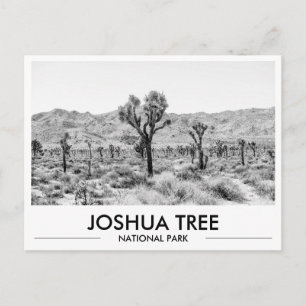Joshua Tree Nationalpark Fotopapier  Postkarte