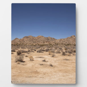 Joshua Tree Nationalpark Fotoplatte