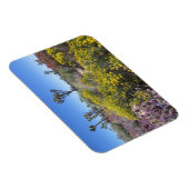 Joshua Tree Nationalpark in Bloom Magnet (Rechte Seite)