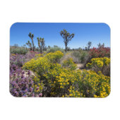 Joshua Tree Nationalpark in Bloom Magnet (Horizontal)