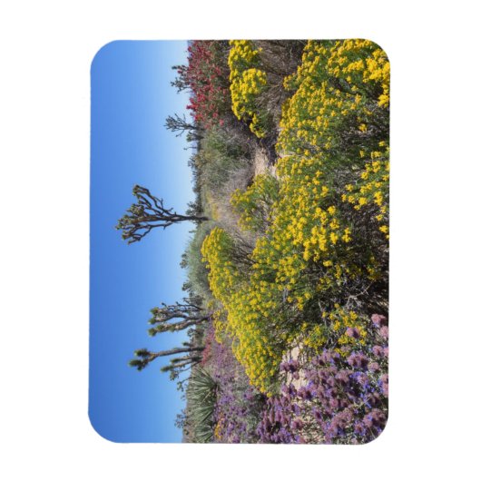 Joshua Tree Nationalpark in Bloom Magnet (Vertikal)