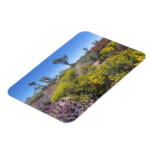Joshua Tree Nationalpark in Bloom Magnet (Linke Seite)