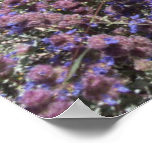 Joshua Tree Nationalpark in Bloom Poster (Ecke)