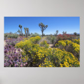 Joshua Tree Nationalpark in Bloom Poster (Vorne)