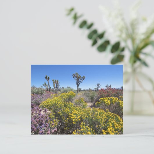 Joshua Tree Nationalpark in Bloom Postkarte (Stehend Vorderseite)